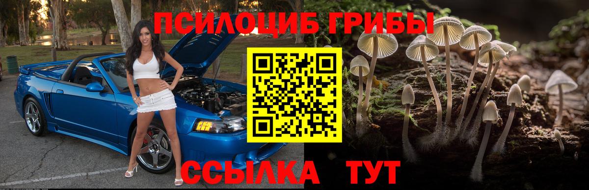 Галлюциногенные грибы ЛСД Балашиха